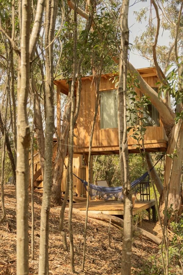 Soul Farm Algarve - Glamping & Farm Houses Aljezur Exteriör bild
