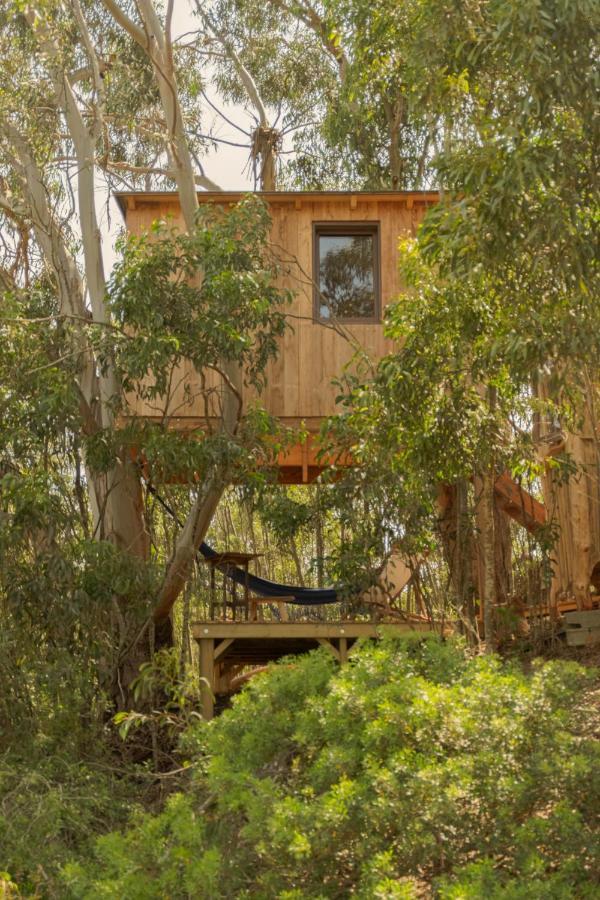 Soul Farm Algarve - Glamping & Farm Houses Aljezur Exteriör bild
