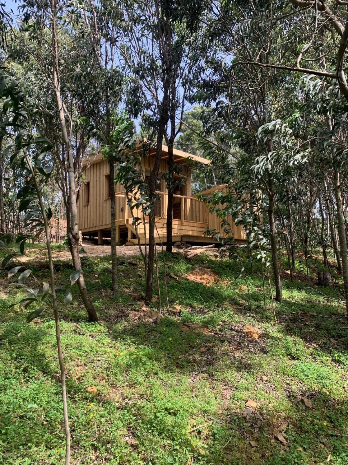 Soul Farm Algarve - Glamping & Farm Houses Aljezur Exteriör bild